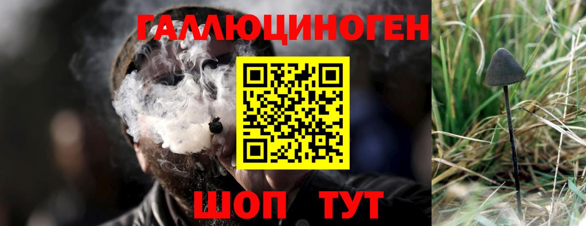 Псилоцибиновые грибы прущие грибы  Вход с VPN  Псилоцибиновые грибы Cubensis  Топки 